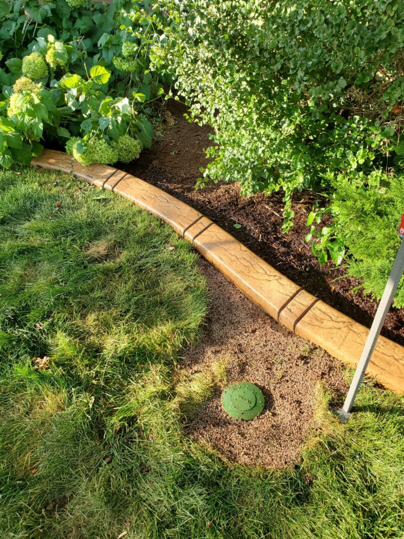 a curb separating plants from grass